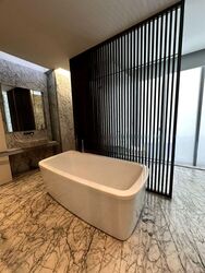 Nassim Park Residences (D10), Condominium #457973351